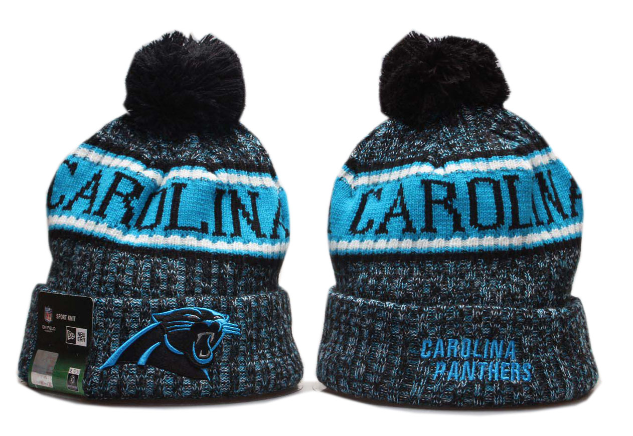 2020 NFL CAROLINA PANTHERS 03